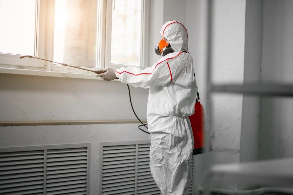 Professional mold remediation services in Whitewright, TX